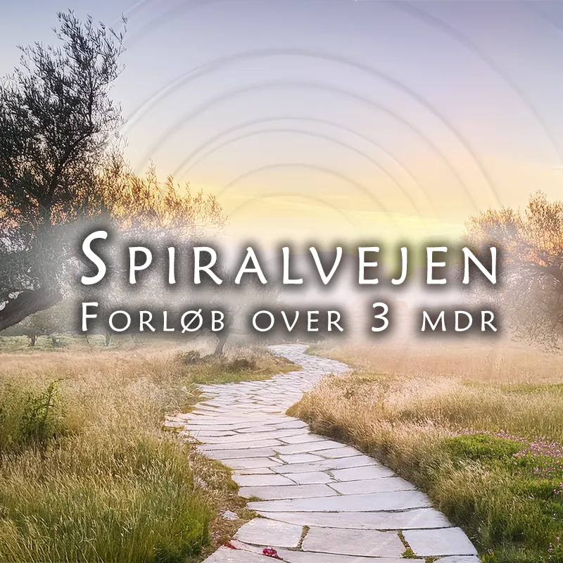 llustration af SpiralVejen – en lysende, spiralformet sti i et roligt, spirituelt landskab ved solopgang. Stien symboliserer den indre rejse i et spirituelt forløb, omgivet af gamle oliventræer og natur. Et billede af fordybelse, healing og sjælelig udvikling.