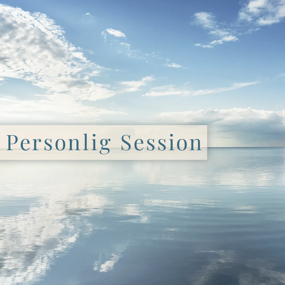 Personlig Session (45 minutter)